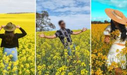 Petani Australia Kesal Ladang Mereka Dipenuhi Turis - JPNN.com