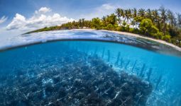 Australia Pelajari Industri Budidaya Rumput Laut di Sulawesi Selatan karena Dinilai Lebih Maju - JPNN.com