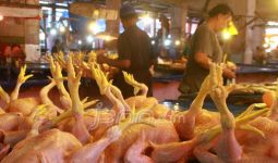 Harga Daging Ayam di Jatim Tembus Rp39 Ribu per Kilogram - JPNN.com
