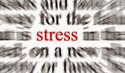 Waspada..Stres Bisa Sebabkan Berat Badan Melonjak - JPNN.com
