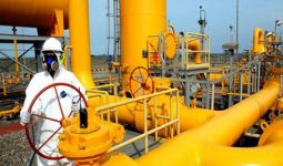 PGN Perbesar Ritel Gas Tanpa Dana APBN - JPNN.com