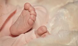Hayo Ngaku, Siapa Membuang Bayi di Gudang Kayu? - JPNN.com