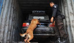 Mobil Mewah Diendus Anjing Pelacak Ini Milik Siapa? - JPNN.com