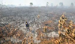 Polda Riau Sikat 8 Pelaku Pembakaran Lahan - JPNN.com