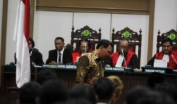 Hakim Seharusnya Tak Periksa Semua Pelapor Ahok - JPNN.com