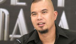 Jika Terpilih, Ahmad Dhani Bakal Langsung Sweeping - JPNN.com