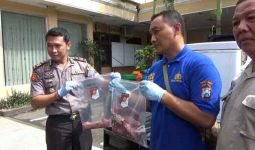 Dua Penjual Daging Celeng Akhirnya Divonis - JPNN.com