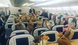 Lihat! Di Kabin Pesawat, 80 Elang jadi Penumpang - JPNN.com