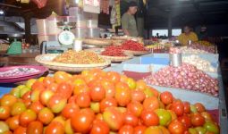 Harga Tomat Anjlok jadi Rp 300 per Kilo, Petani Hanya Bisa Pasrah - JPNN.com