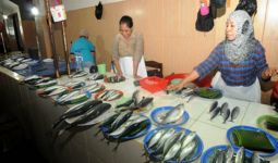 Produksi Ikan Melimpah, Jumlah Industri Rendah - JPNN.com