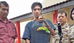 Burung Prajurit TNI AL Dicuri - JPNN.com