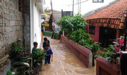Isu Banjir Tak Akan Gerus Elektabilitas Ahok-Djarot - JPNN.com