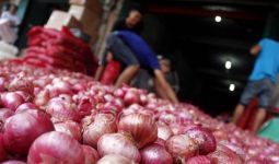 Indonesia Kembali Ekspor 5.600 Ton Bawang Merah ke Thailand - JPNN.com