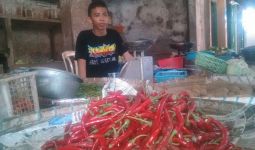 Jelang Lebaran, Harga Cabai Merah di Medan tak Pedas Lagi - JPNN.com