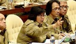 Eskalasi Konflik Hutan Menurun, Menteri Siti Dipuji - JPNN.com
