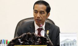 Permintaan Khusus Jokowi ke Menteri Amran - JPNN.com