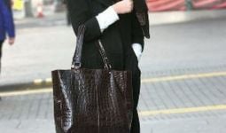 Ladies, Handbag Ternyata Bahaya Untuk Kesehatan Lho.. - JPNN.com
