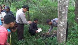 Hiii… Kerangka Manusia Ditemukan di Hutan Nongsa - JPNN.com