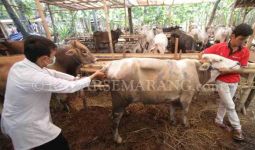 Industri Susu Diharapkan Serap Produksi Peternak Lokal - JPNN.com