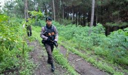Kalimantan Utara Jadi Pintu Masuk Teroris ke Poso - JPNN.com