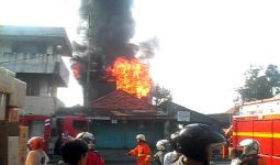Kebakaran, Enam Ekor Kambing Ikut Terpanggang - JPNN.com