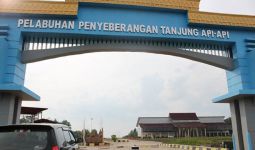Pelabuhan Internasional KEK Tanjung Api-api Harus Bisa Diwujudkan! - JPNN.com