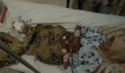 Tragis, Nenek Kaminun Diserang Babi Hutan, Kakinya, OMG… - JPNN.com