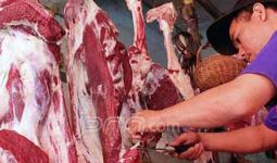 Daging Impor Marak, Pemotongan Sapi Menurun - JPNN.com