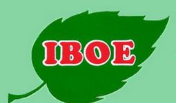 Kiat Jamu Iboe Kejar Pertumbuhan Penjualan Hingga 15 Persen - JPNN.com