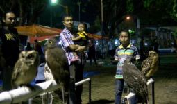 Tiap Dua Minggu, Burung Hantu Berkumpul di Taman Ini - JPNN.com