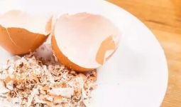 Cangkang Telur Bukan Sampah, Ini Manfaatnya untuk Kesehatan - JPNN.com