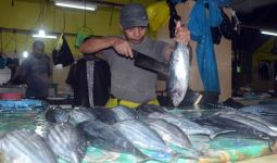 Ikan Asal Luwuk Sudah Bisa Diekspor via Udara - JPNN.com
