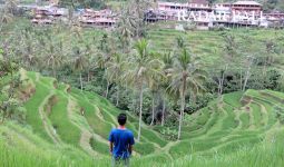 Jangan Lewatkan Festival Tepi Sawah 2017 di Ubud Awal Juni - JPNN.com