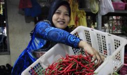 Harga Cabai Merah Mulai Pedas Lagi Jelang Ramadan - JPNN.com
