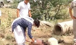Diperkosa Mantan Pacar Cs, Kepalanya Dipukul Batu Bata, Lalu Digilas Mobil, Dimakan Anjing - JPNN.com