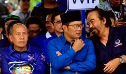 NasDem Minta Ketum Parpol Pendukung Ridwan Kamil Berembuk - JPNN.com