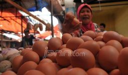 Airlangga Bagi-bagi Telur Ayam, Ada Apa? - JPNN.com