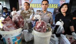 Polisi Pelabuhan Gagalkan Penyelundupan Dua Ton Daging Celeng - JPNN.com