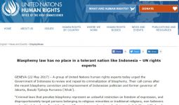 Para Pakar HAM PBB Minta Indonesia Bebaskan Ahok Secepatnya - JPNN.com