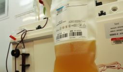 Australia Kembangkan Terapi Plasma Darah untuk Pasien COVID-19 - JPNN.com
