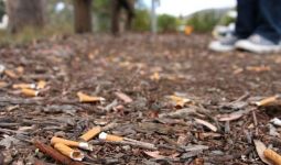 Berani Membuang Puntung Rokok dari Mobil di Sydney, Siap-Siap Saja Didenda Rp 106 Juta - JPNN.com