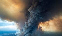 Hujan Bantu Padamkan Api, Tapi Belum Tentu Kurangi Kebakaran Australia - JPNN.com