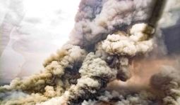 Kebakaran Hutan Australia: Warga Kangaroo Island Merasa Tinggal di Neraka - JPNN.com