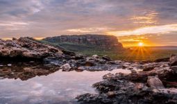 Krisis Menerjang Kakadu, Taman Nasional Terbesar di Australia - JPNN.com