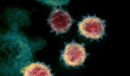 Sejumlah Jenis Baru Virus Corona Mengkhawatirkan Tapi Para Pakar Optimis - JPNN.com
