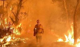 Tetangga Ramai-Ramai Bantu Australia Bantu Atasi Kebakaran Hutan - JPNN.com