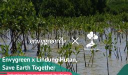 Upaya Envygreen dan Lindungi Hutan Menyelamatkan Bumi - JPNN.com