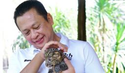 Bamsoet: Faunaland jadi Jendela Fauna Indonesia - JPNN.com