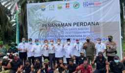Gandeng Koperasi, PTPN VI Jambi Gelar Penanaman Peremajaan Sawit Rakyat - JPNN.com
