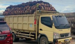Soal Penyerobotan Lahan 200 Petani Sawit di Riau, Bareskrim Periksa 37 Orang Saksi - JPNN.com